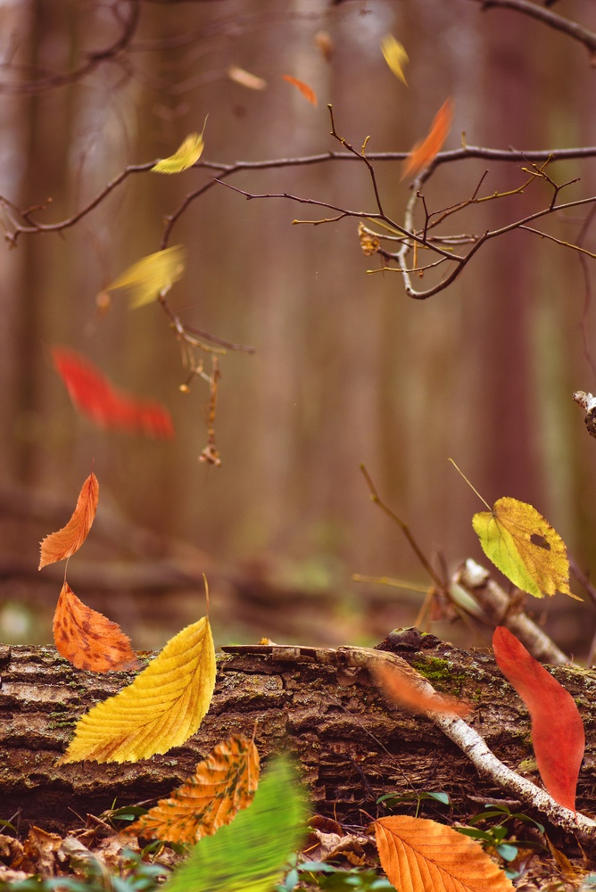 This Week’s Missive